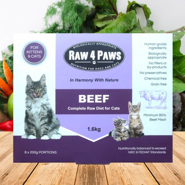 Raw 4 Paws Beef for Cats 1.6KG (8 x 200gr Chubs)