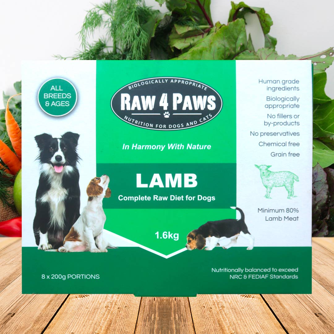 4 paws raw dog food